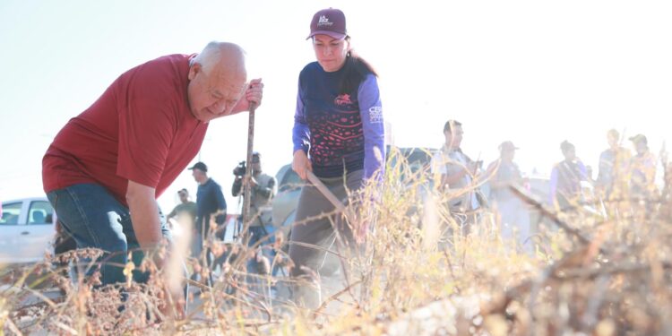 EXITOSA JORNADA DE LIMPIEZA EN ACCESO SUR DE LA PAZ