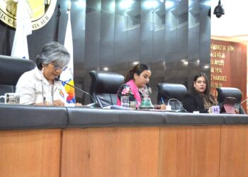 Pide iniciativa ciudadana Comisiones Permanentes acordes a las necesidades de cada municipio