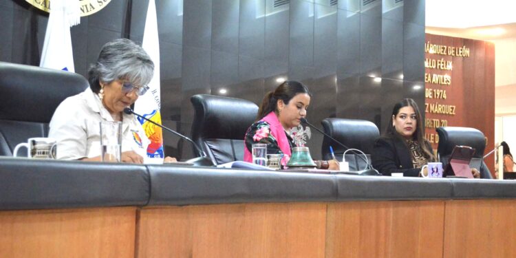 Pide iniciativa ciudadana Comisiones Permanentes acordes a las necesidades de cada municipio