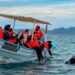 Más de 35 mil visitantes durante la temporada de avistamiento de la ballena gris en Puerto Chale