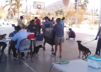 Realiza CEMAC Campaña de Esterilización en El Pescadero