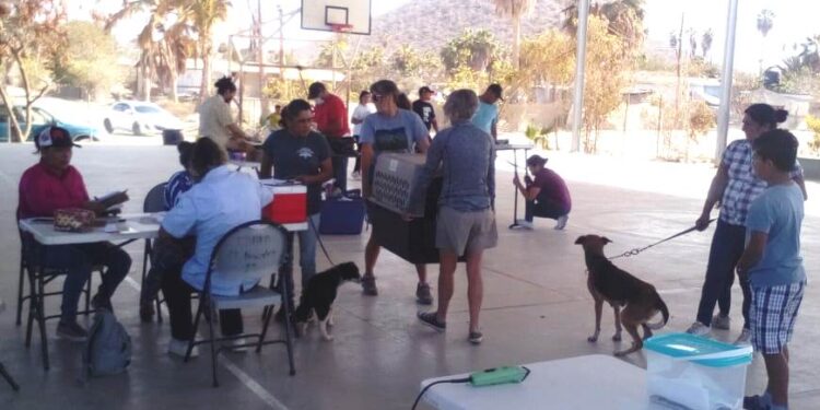 Realiza CEMAC Campaña de Esterilización en El Pescadero