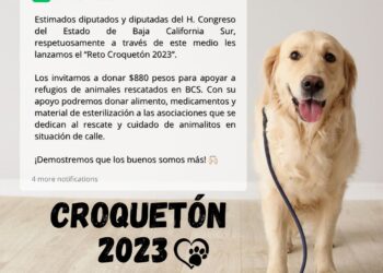 RETAN A DIPUTADOS DE BCS A SUMARSE AL CROQUETÓN, LES PIDEN DONAR EL 1% DE SU SUELDO
