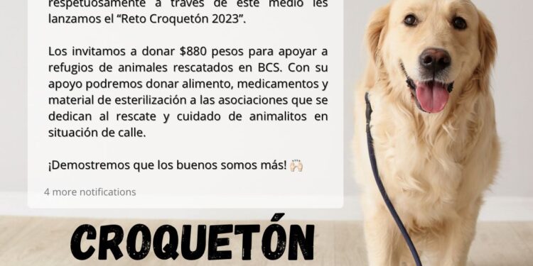 RETAN A DIPUTADOS DE BCS A SUMARSE AL CROQUETÓN, LES PIDEN DONAR EL 1% DE SU SUELDO