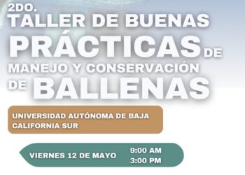 Turismo de Los Cabos invita al “2do Taller de Buenas Prácticas de Manejo y Conservación de Ballenas” a realizarse este 12 y 13 de mayo