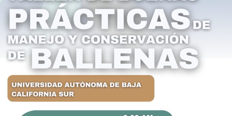 Turismo de Los Cabos invita al “2do Taller de Buenas Prácticas de Manejo y Conservación de Ballenas” a realizarse este 12 y 13 de mayo