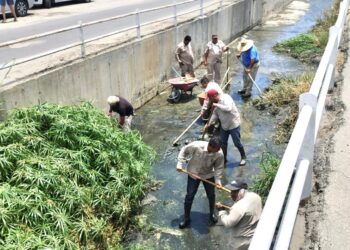 Implementa Servicios Públicos trabajos de mantenimiento y limpieza integral en la colonia Miramar de CSL