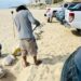 Refuerza ZOFEMAT Los Cabos limpieza en playas ante el inicio de la Temporada de Huracanes 2023