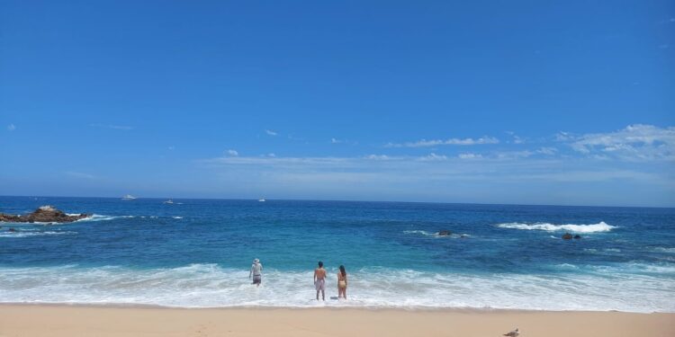 Cumple Zofemat Los Cabos con los procesos de muestreo de calidad del agua y criterios de desempeño sustentable en las playas