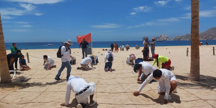 Los Cabos se encamina a consolidar su liderazgo en excelencia y certificación internacional de playas; iniciaron los procesos de evaluación Blue Flag