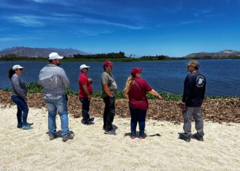 Autoridades de los tres órdenes de Gobierno evalúan el estado de la Reserva Ecológica Estatal del Estero San José del Cabo