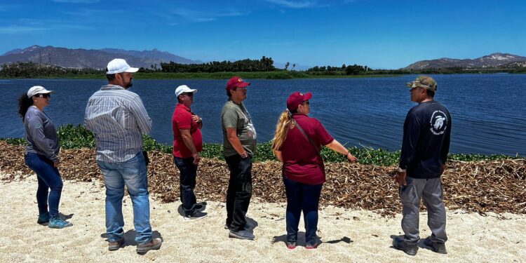 Autoridades de los tres órdenes de Gobierno evalúan el estado de la Reserva Ecológica Estatal del Estero San José del Cabo