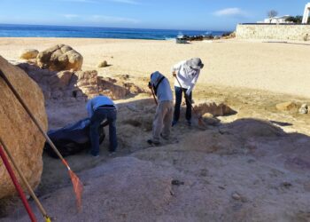 De cara a la temporada ciclónica, refuerza Zofemat Los Cabos los trabajos de limpieza en zonas adyacentes a las playas