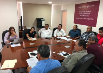 Participa Gobierno de Los Cabos en el Análisis del Cambio del Uso de Suelo y Programas de Manejo Forestal para B.C.S.