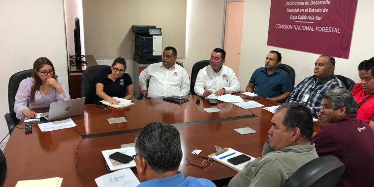 Participa Gobierno de Los Cabos en el Análisis del Cambio del Uso de Suelo y Programas de Manejo Forestal para B.C.S.