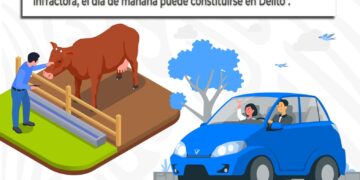 ¿Quieres interponer una queja relacionada con ganado suelto? Puedes hacerlo a través de los Juzgados Cívicos de Seguridad Pública de Los Cabos