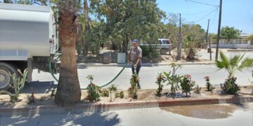 Implementa Gobierno de Los Cabos acciones de riego en área reforestadas de SJC