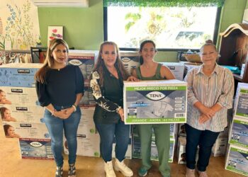 Para el beneficio de los grupos de atención prioritaria, DIF Los Cabos recibe donativo de más de 2 mil pañales de la empresa Puerto Los Cabos&nbsp;