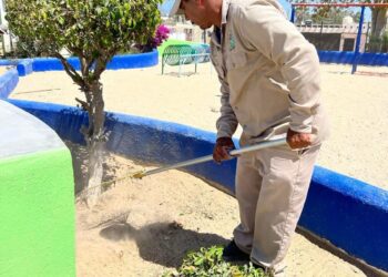 Refuerza Servicios Públicos jornada de limpieza en camellones y áreas verdes en Los Cabos
