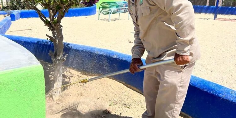 Refuerza Servicios Públicos jornada de limpieza en camellones y áreas verdes en Los Cabos