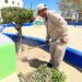 Refuerza Servicios Públicos jornada de limpieza en camellones y áreas verdes en Los Cabos