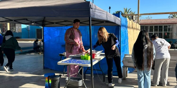 Continúa Gobierno de Los Cabos impulsando Campañas de Esterilización canina y felina en coordinación con Casa Sheila A.C.