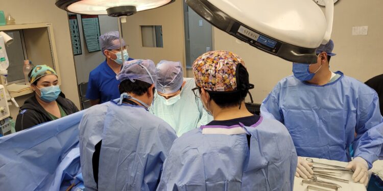 Se llevan a cabo dos procuraciones multiorgánicas en HGZ/MF No.1 del IMSS La Paz, Baja California Sur