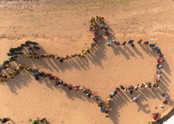 Celebran Homenaje al Tiburón Ballena en Malecón de La Paz