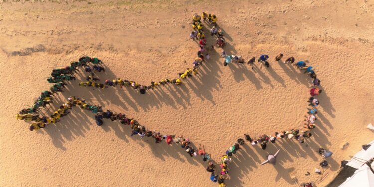 Celebran Homenaje al Tiburón Ballena en Malecón de La Paz