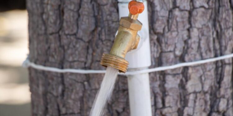 Contaron con agua potable 101 colonias a través de la red, el 22 de mayo: OOMSAPAS La Paz