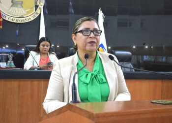 Que la CEDH investigue presuntas violaciones de DH con perspectiva de género: Diputada María Luisa Ojeda&nbsp;