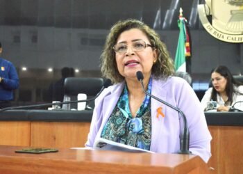 Propone diputada María Luisa Ojeda que la SS realice acciones de prevención de enfermedades con perspectiva de género