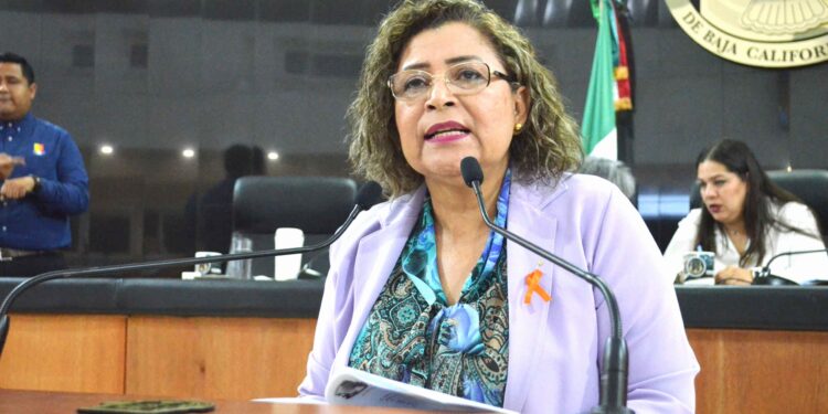 Propone diputada María Luisa Ojeda que la SS realice acciones de prevención de enfermedades con perspectiva de género