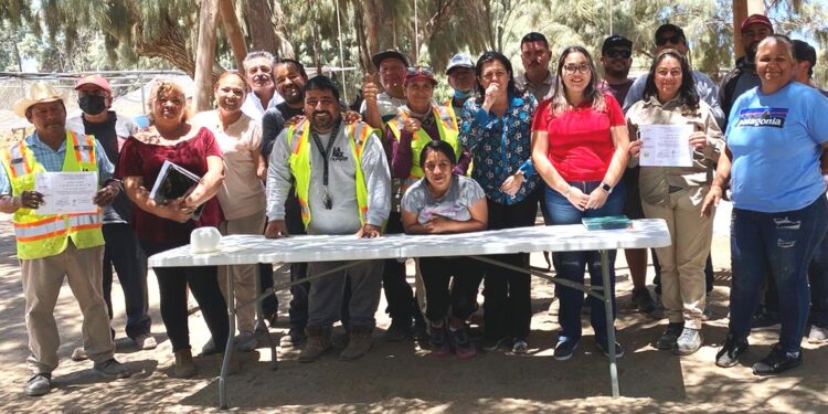 Entregan constancias a participantes del Curso de Lombricomposta