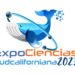 Invitan a Expo Ciencias Sudcaliforniana en La Paz