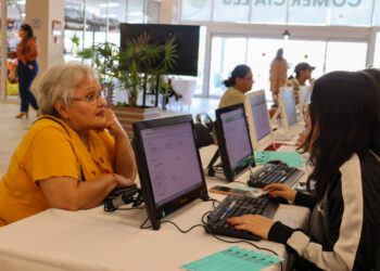 Encabeza BCS generación de empleos a nivel nacional