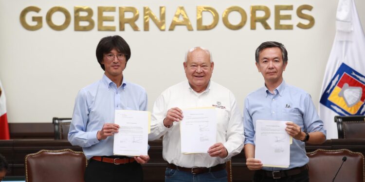 CREAN ARRECIFE ARTIFICIAL EN LA BAHÍA DE LA PAZ