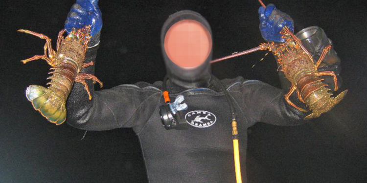 Solicitan SCPP de Puerto San Carlos mayor vigilancia ante robo de producto