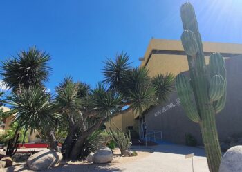ISC INVITA A DOS NOCHES DE VISITAS NOCTURNAS GUIADAS “LA PAZ ANTES Y DESPUÉS DE SU FUNDACIÓN”