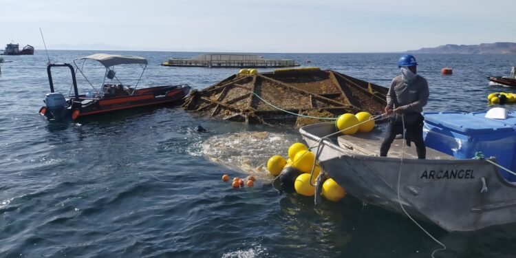 PRESENTA 75 % DE AVANCE PROGRAMA DE ORDENAMIENTO PESQUERO Y ACUÍCOLA