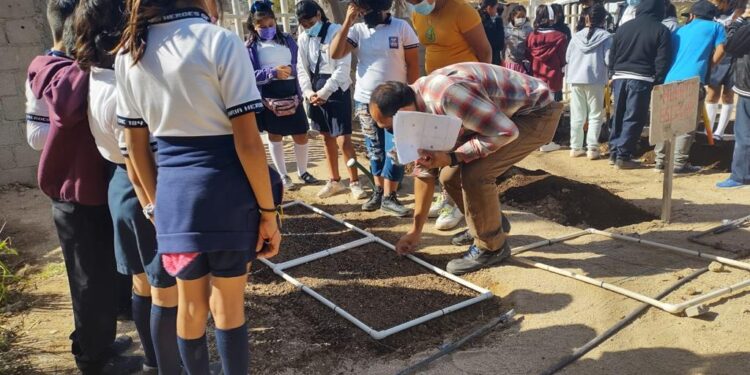 Abierta convocatoria para huertos escolares