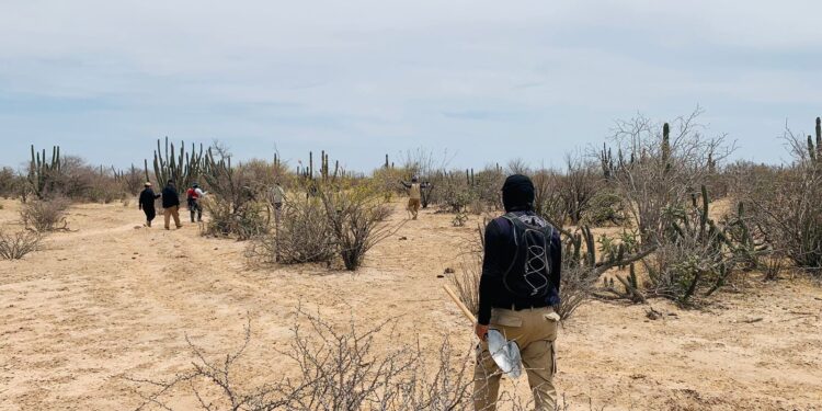 106 PERSONAS LOCALIZADAS CON VIDA EN 2023: COMISIÓN ESTATAL DE BÚSQUEDA