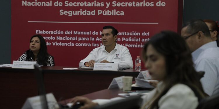 PARTICIPA BCS EN MESA DE TRABAJO PARA LA ATENCIÓN A VÍCTIMAS DE VIOLENCIA