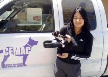 Fomenta el CEMAC la adopción de perritos y brindarles un nuevo hogar