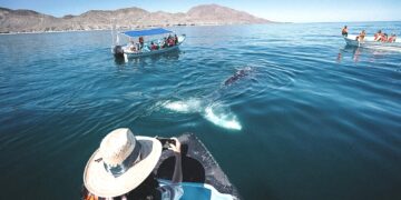 Invita Turismo Municipal a sumar esfuerzos para posicionar a La Paz como destino de aventura