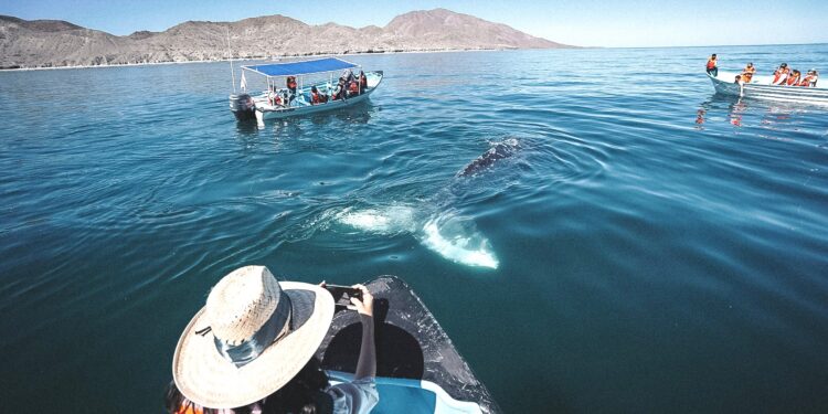 Invita Turismo Municipal a sumar esfuerzos para posicionar a La Paz como destino de aventura