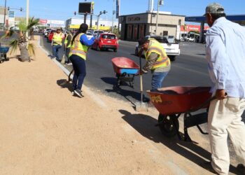 Realizan trabajos de preparación del bulevar Colosio para su reforestación