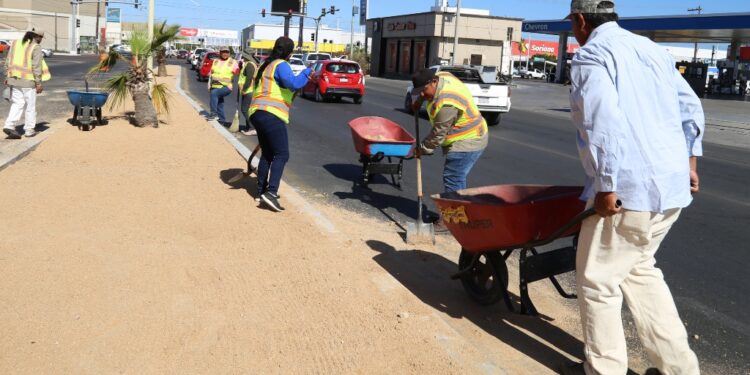 Realizan trabajos de preparación del bulevar Colosio para su reforestación