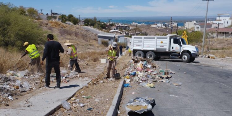 Servicios Públicos limpia los accesos en colonia El Pedregal