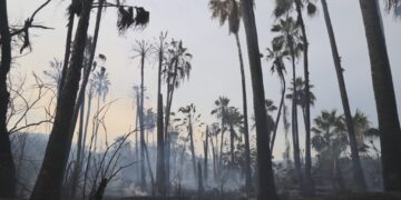 En Santiago fortalecen las medidas preventivas contra incendios forestales y acciones para mitigar impactos a los ecosistemas